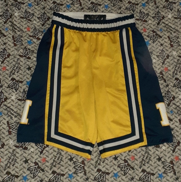 michigan jumpman shorts
